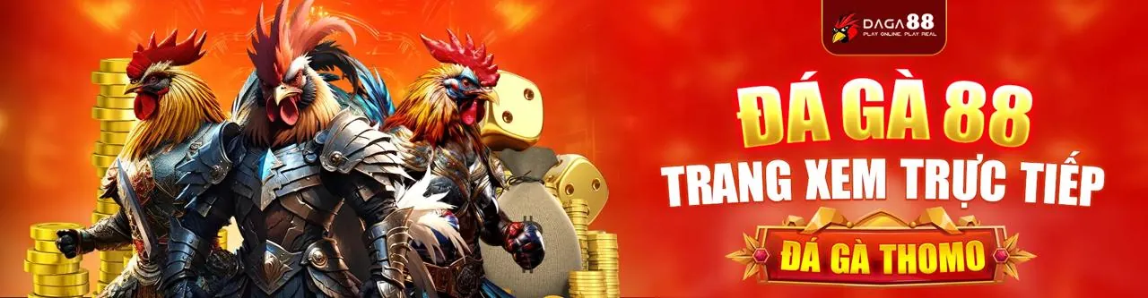 Sân đấu gà đá trực tuyến sôi động tại DR88 NHÀ CÁI